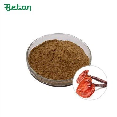 Organický extrakt z houby Reishi v prášku